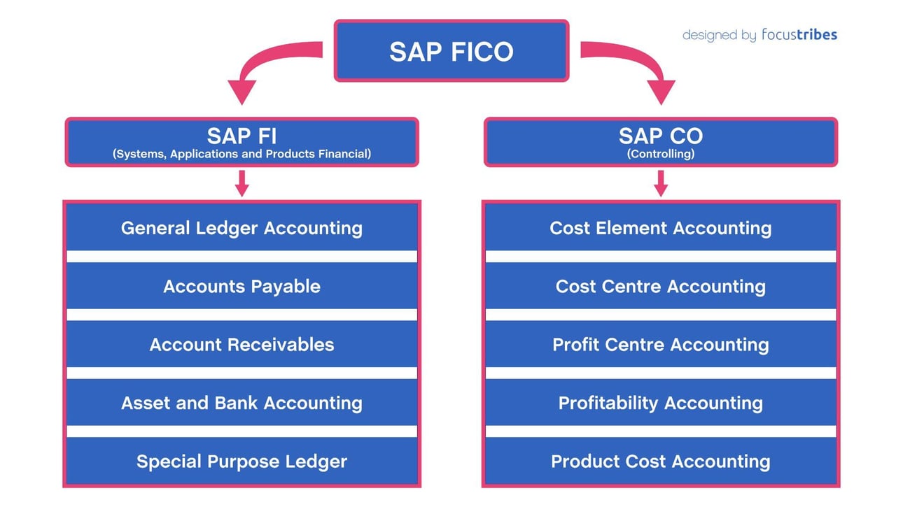 SAP FI CO: Guide to the SAP Finance and Controlling module